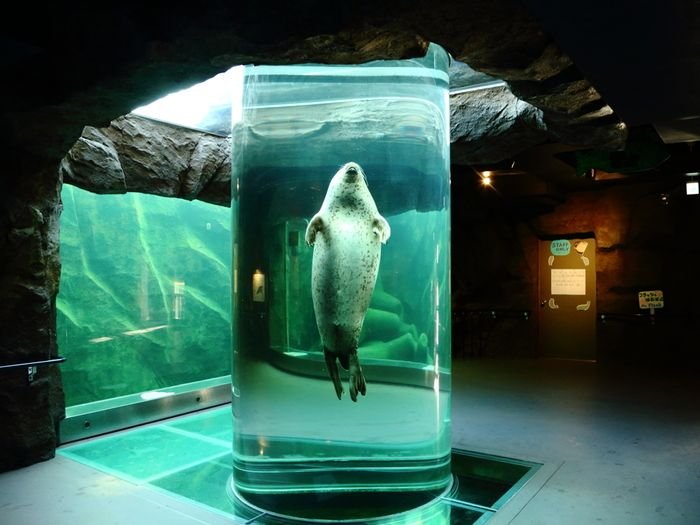 🐧 아사히야마 동물원 이미지 5